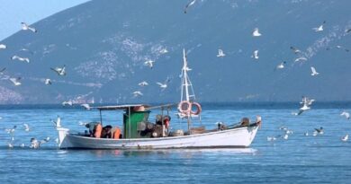 ΑΝΕΘ - Δήμος Δέλτα: Υποβολή αιτήσεων για το «Αλιεία και Θάλασσα»