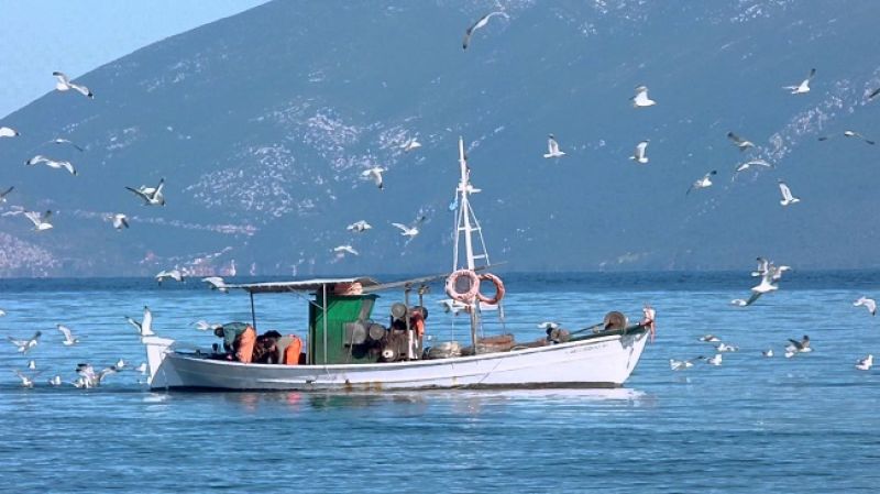 ΑΝΕΘ - Δήμος Δέλτα: Υποβολή αιτήσεων για το «Αλιεία και Θάλασσα»