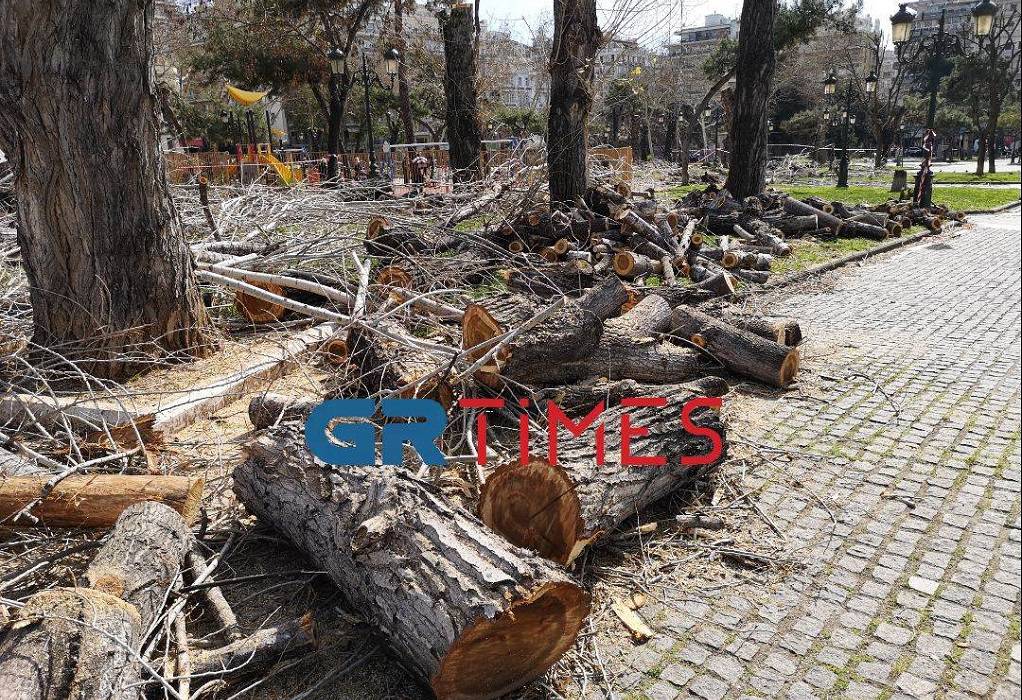 Δ. Θεσσαλονίκης: Προσφυγές κατά της κοπής 260 δέντρων σε κεντρικές οδούς