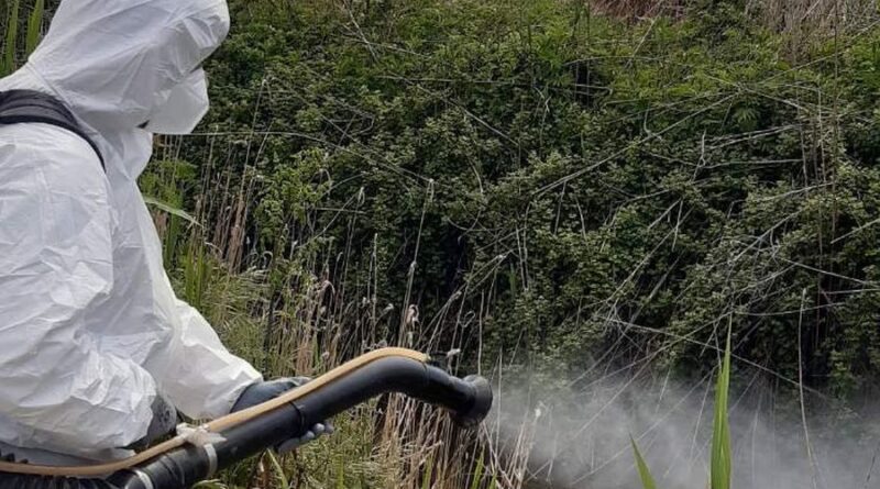 ΠΚΜ: Το πρόγραμμα καταπολέμησης κουνουπιών στο Δήμο Δέλτα 3-7 Ιουλίου