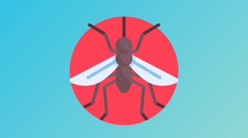 KsouKsou - Οι πρώτες Ελληνικές δωρεάν εφαρμογές κινητών που απωθούν τα κουνούπια & τις κατσαρίδες μέσω του ήχου!