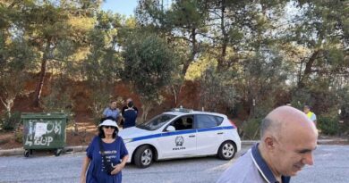 Κωνσταντινοπολίτικα: Πολίτες κατά της κοπής δέντρων για το Fly Over