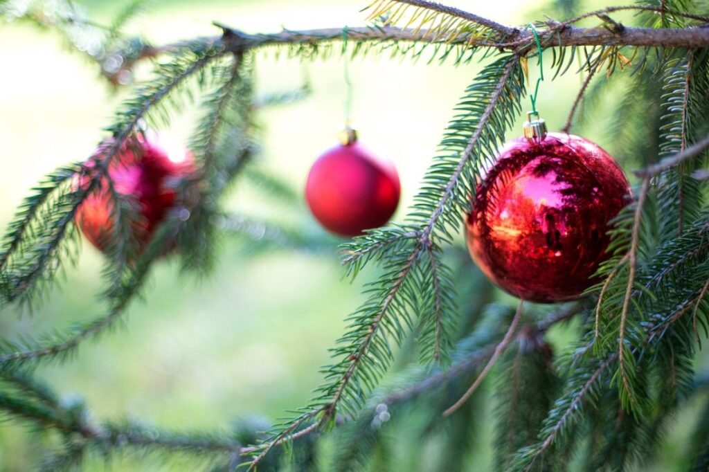 Στη συλλογή των χριστουγεννιάτικων δέντρων προχωρά ο Δ. Θεσσαλονίκης