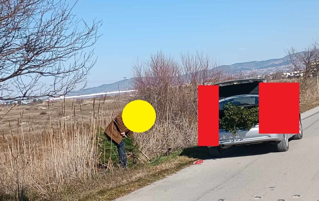 Καταγγελία: Άνδρας ξερίζωνε δέντρα που φύτευσε η Εχεδώρου Φύσις (pics)