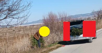 Καταγγελία: Άνδρας ξερίζωνε δέντρα που φύτευσε η Εχεδώρου Φύσις (pics)