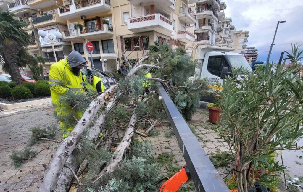 Αλεξανδρίδης: Η κακοκαιρία δεν άφησε «πληγές» στο Δ. Κορδελιού - Ευόσμου - Συγχαρητήρια σε όλους