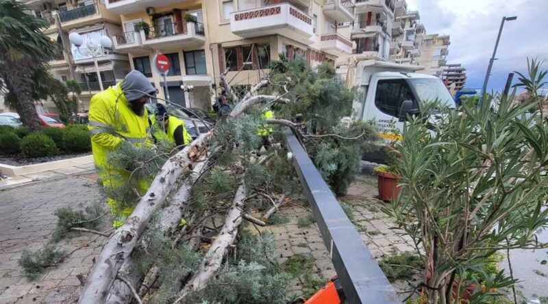 Αλεξανδρίδης: Η κακοκαιρία δεν άφησε «πληγές» στο Δ. Κορδελιού - Ευόσμου - Συγχαρητήρια σε όλους