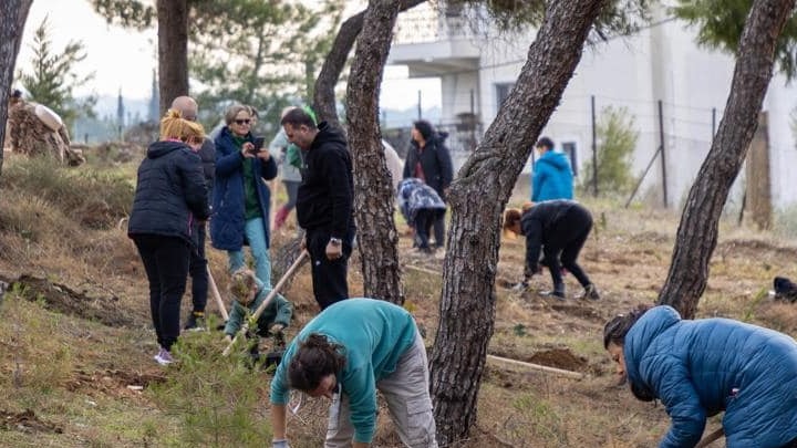 Δενδροφύτευση στο υπό διαμόρφωση περιαστικό δάσος στην Τριανδρία