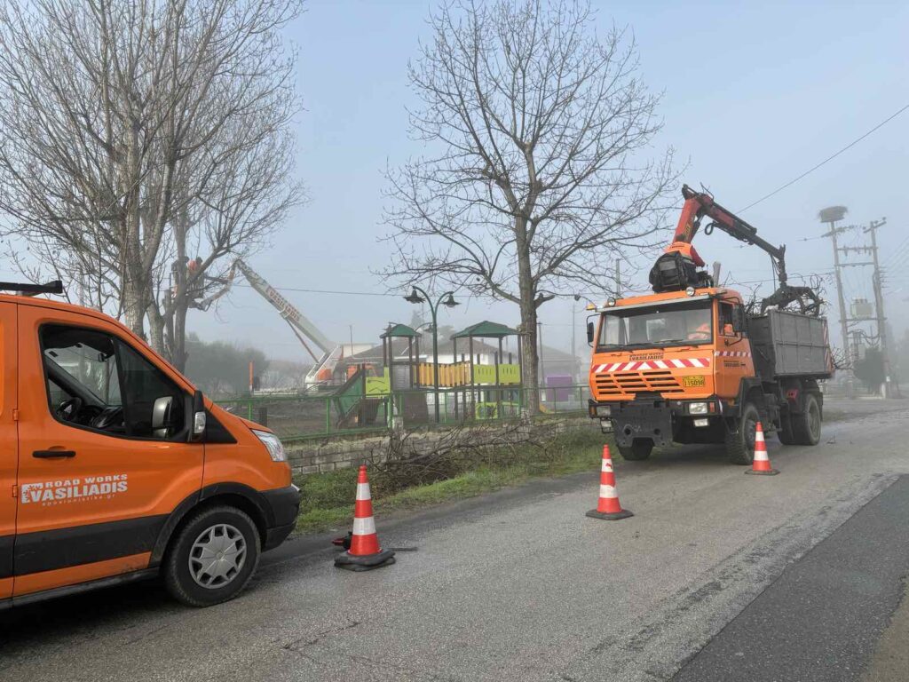 Δήμος Δέλτα: Κλάδεμα δέντρων και απομάκρυνση κορμών από την Πολιτική Προστασία (pics)