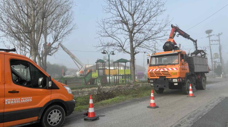 Δήμος Δέλτα: Κλάδεμα δέντρων και απομάκρυνση κορμών από την Πολιτική Προστασία (pics)