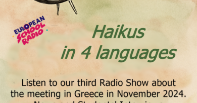 Το 2ο ΓΕΛ Εχεδώρου συμμετείχε στο Ευρωπαϊκό Πρόγραμμα Erasmus+ «Art and Memory»