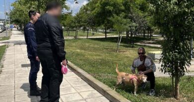 Έλεγχοι της ΕΛΑΣ και πρόστιμα σε ιδιοκτήτες δεσποζόμενων ζώων