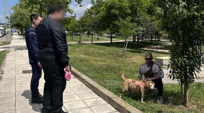 Έλεγχοι της ΕΛΑΣ και πρόστιμα σε ιδιοκτήτες δεσποζόμενων ζώων