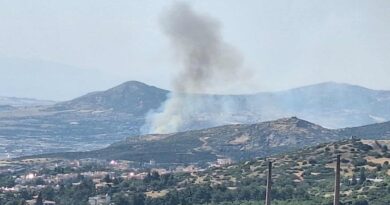 Υπό έλεγχο η φωτιά στην Ευκαρπία – Αναζητούνται δύο ανήλικοι