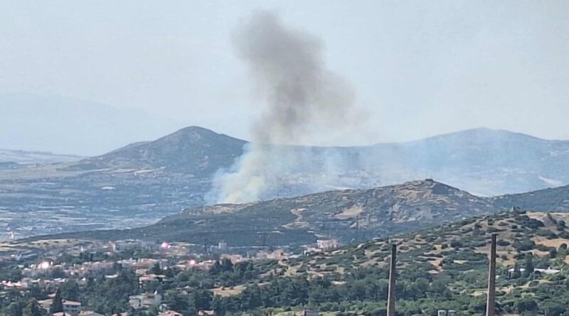 Υπό έλεγχο η φωτιά στην Ευκαρπία – Αναζητούνται δύο ανήλικοι