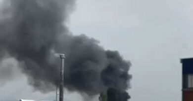 Φωτιά κοντά στις φυλακές Διαβατών (vid)