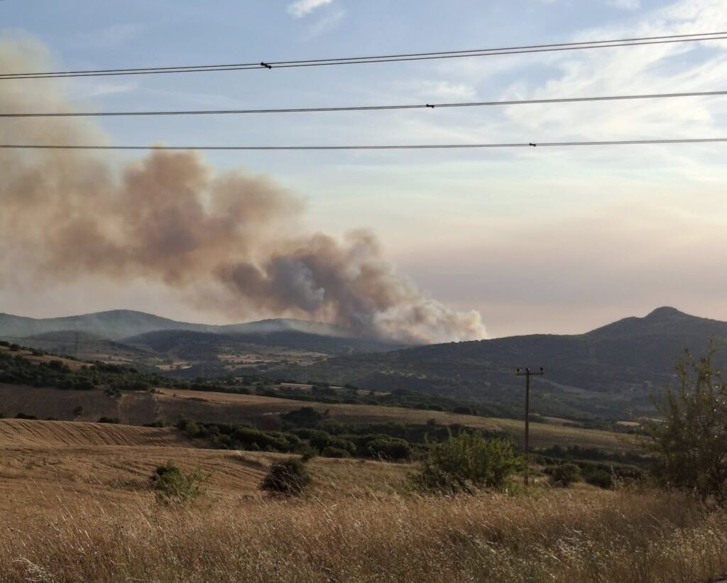 Φωτιά σε δασική έκταση στο Δήμο Ωραιοκάστρου – Επιχειρούν επτά εναέρια, ήχησε το 112
