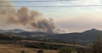 Φωτιά σε δασική έκταση στο Δήμο Ωραιοκάστρου – Επιχειρούν επτά εναέρια, ήχησε το 112