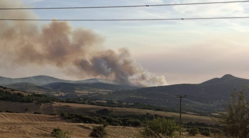 Φωτιά σε δασική έκταση στο Δήμο Ωραιοκάστρου – Επιχειρούν επτά εναέρια, ήχησε το 112