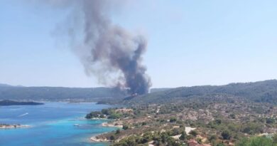 Χαλκιδική: Φωτιά στη Βουρβουρού – Ήχησε το 112 (vid)