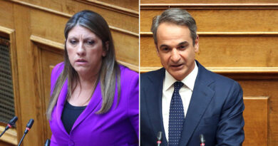 Επεισόδιο Κωνσταντοπούλου - Μητσοτάκη στη Βουλή: «Σταματήστε να γκαρίζετε!» (vid)