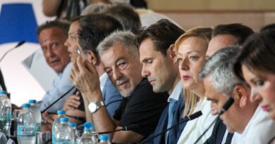 Ποια θέματα έθεσε στον Κωστή Χατζηδάκη η Γερακίνα Μπισμπινά