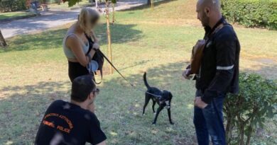 Έλεγχοι και πρόστιμα σε ιδιοκτήτες δεσποζόμενων ζώων στη Θεσσαλονίκη