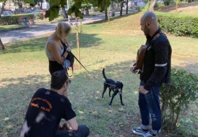 Έλεγχοι και πρόστιμα σε ιδιοκτήτες δεσποζόμενων ζώων στη Θεσσαλονίκη