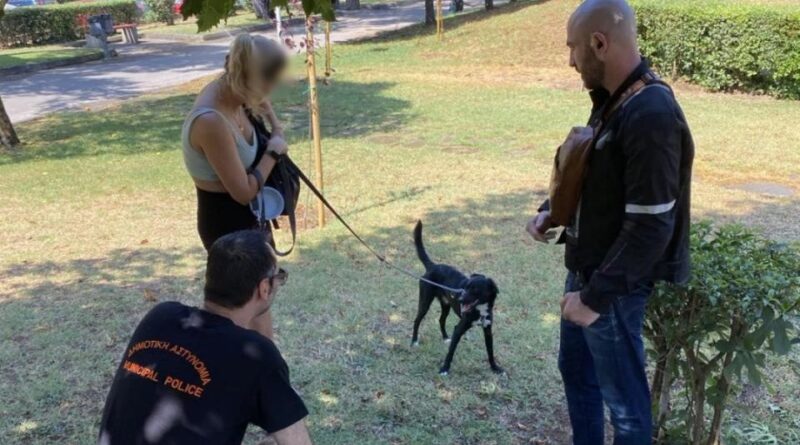 Έλεγχοι και πρόστιμα σε ιδιοκτήτες δεσποζόμενων ζώων στη Θεσσαλονίκη