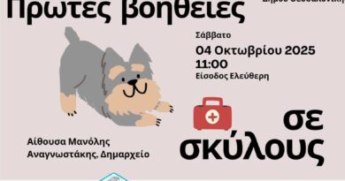 Σεμινάριο Πρώτων Βοηθειών για σκύλους στο Δημαρχείο Θεσσαλονίκης