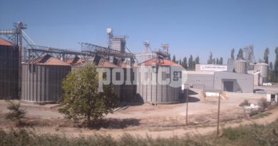 Ρεπορτάζ Politic: Το ρύζι διεκδικεί τη θέση που του αξίζει!