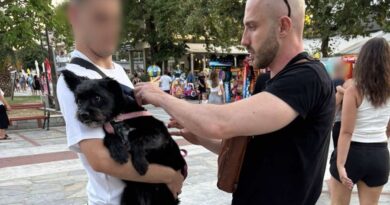 Έλεγχοι και πρόστιμα σε ιδιοκτήτες δεσποζόμενων ζώων στη Θεσσαλονίκη