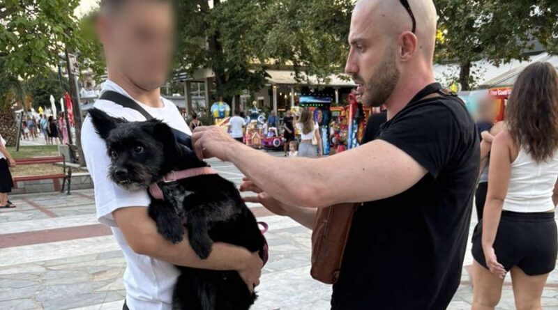Έλεγχοι και πρόστιμα σε ιδιοκτήτες δεσποζόμενων ζώων στη Θεσσαλονίκη