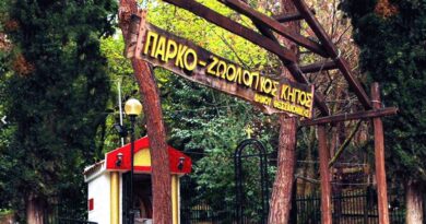 Κλειστός ο Ζωολογικός Κήπος Θεσσαλονίκης - Κρούσμα βρουκέλλωσης σε κριό