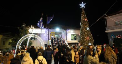 Δ. Ωραιοκάστρου: Φωταγωγήθηκαν τα χριστουγεννιάτικα δέντρα σε Δρυμό και Πεντάλοφο (pics)