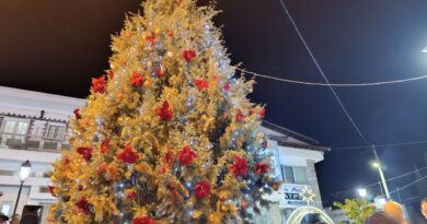 Δ. Ωραιοκάστρου: Φωταγωγήθηκαν τα χριστουγεννιάτικα δέντρα σε Μελισσοχώρι, Πετρωτό, Νεοχωρούδα και Νέα Φιλαδέλφεια