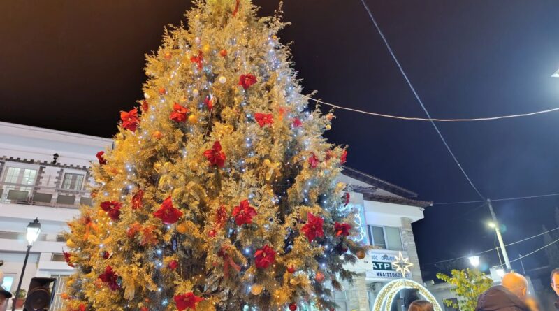 Δ. Ωραιοκάστρου: Φωταγωγήθηκαν τα χριστουγεννιάτικα δέντρα σε Μελισσοχώρι, Πετρωτό, Νεοχωρούδα και Νέα Φιλαδέλφεια