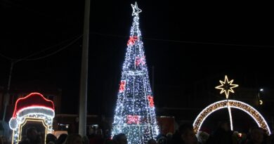 Δήμος Δέλτα: Άναψαν τα χριστουγεννιάτικα δέντρα σε Καλοχώρι, Ανατολικό (pics)