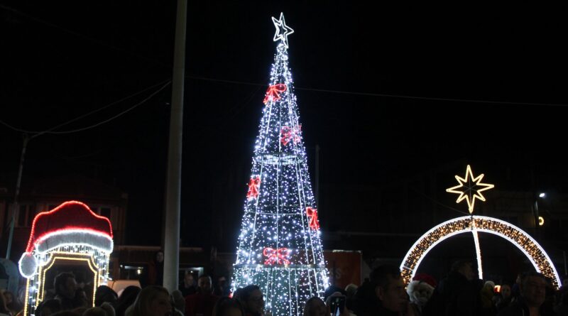 Δήμος Δέλτα: Άναψαν τα χριστουγεννιάτικα δέντρα σε Καλοχώρι, Ανατολικό (pics)