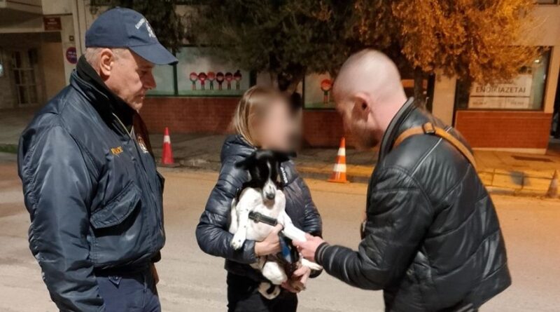 Έλεγχοι σε δεσποζόμενα ζώα συντροφιάς στη Θεσσαλονίκη - Πρόστιμα σε ιδιοκτήτες