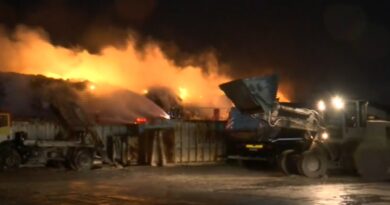 Φωτιά σε εταιρεία ανακύκλωσης στα Διαβατά – Επιχειρούν ισχυρές δυνάμεις (vid)