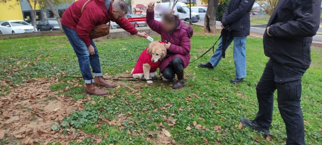 Θεσσαλονίκη: Έλεγχοι σε δεσποζόμενα ζώα και πρόστιμα σε ιδιοκτήτες