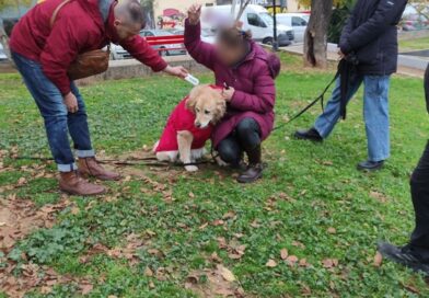 Θεσσαλονίκη: Έλεγχοι σε δεσποζόμενα ζώα και πρόστιμα σε ιδιοκτήτες