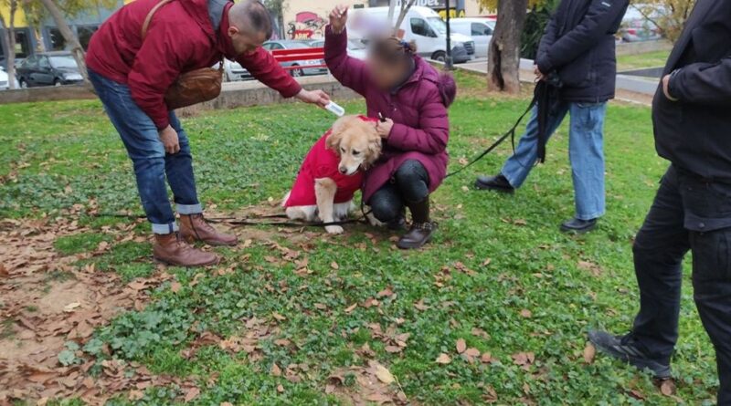 Θεσσαλονίκη: Έλεγχοι σε δεσποζόμενα ζώα και πρόστιμα σε ιδιοκτήτες