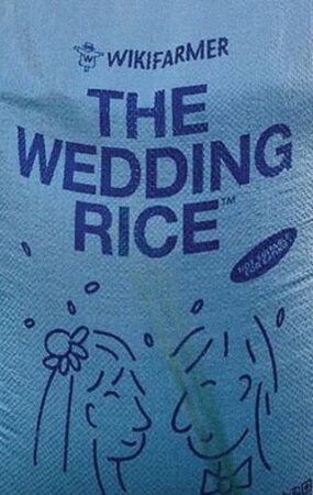 Σεμινάρια για νύφες και γαμπρούς, «ρύζι γάμου» και ένα από τα πρώτα νυφικά αυτοκίνητα στην 26η EXPOWEDDING