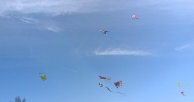 Δ. Ωραιοκάστρου: Με κέφι και σαρακοστιανά εδέσματα γιορτάστηκαν τα «Κούλουμα» (pics)