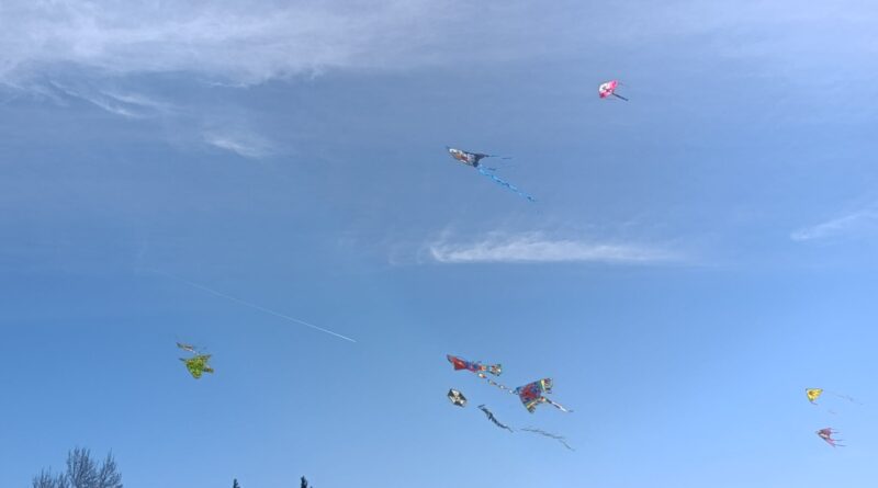 Δ. Ωραιοκάστρου: Με κέφι και σαρακοστιανά εδέσματα γιορτάστηκαν τα «Κούλουμα» (pics)