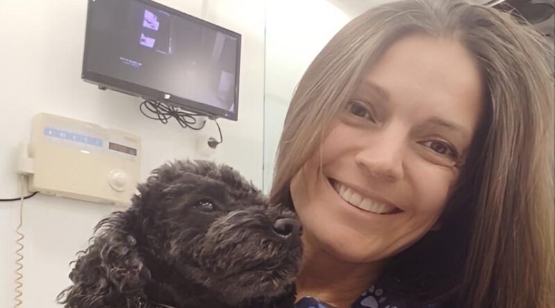 Από τον δρόμο, βοηθός σε οδοντιατρείο: Η τετράποδη Άριελ που διώχνει το άγχος για τον τροχό και τη σύριγγα