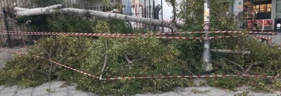 Σαρώνει ο Βαρδάρης - Δεκάδες κλήσεις στην Πυροσβεστική - Αποκαταστάθηκε η σιδηροδρομική κυκλοφορία στο τμήμα Σίνδος - Θεσσαλονίκη