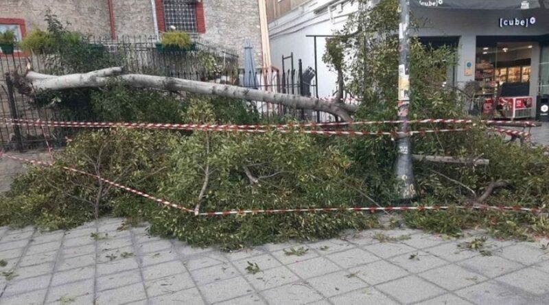 Σαρώνει ο Βαρδάρης - Δεκάδες κλήσεις στην Πυροσβεστική - Αποκαταστάθηκε η σιδηροδρομική κυκλοφορία στο τμήμα Σίνδος - Θεσσαλονίκη